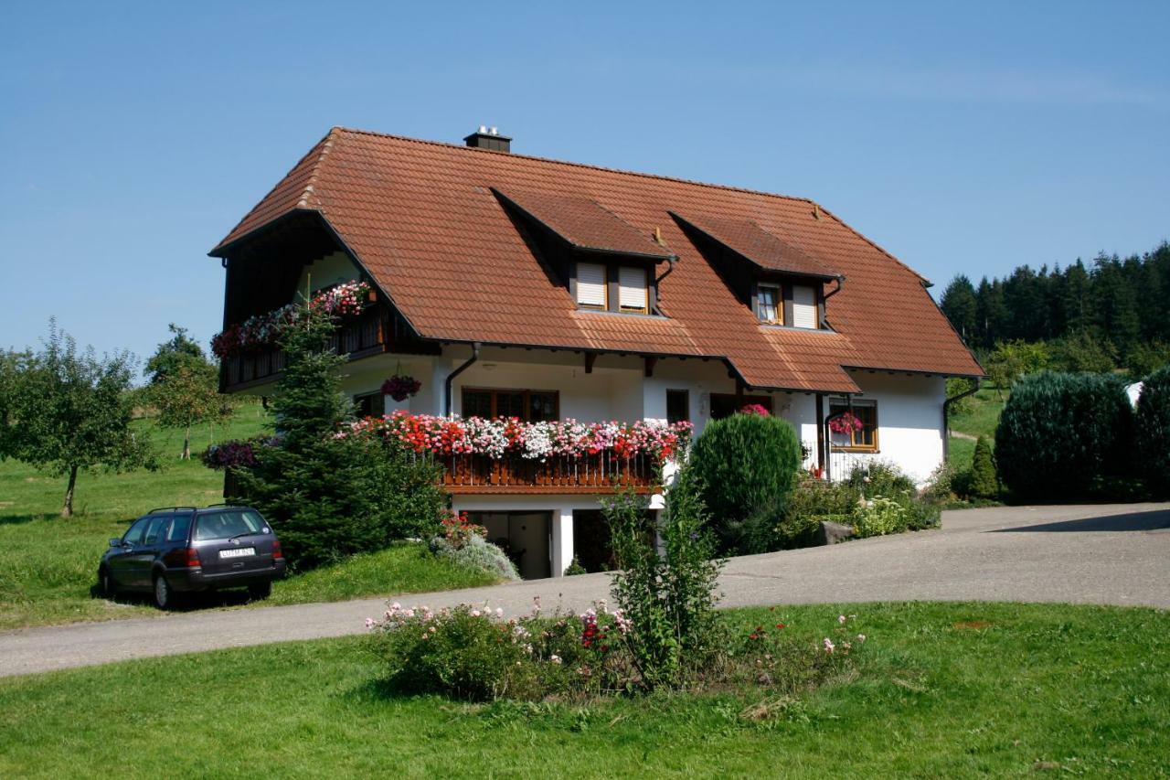 Ferienwohnung Seelbach  Zewnętrze zdjęcie